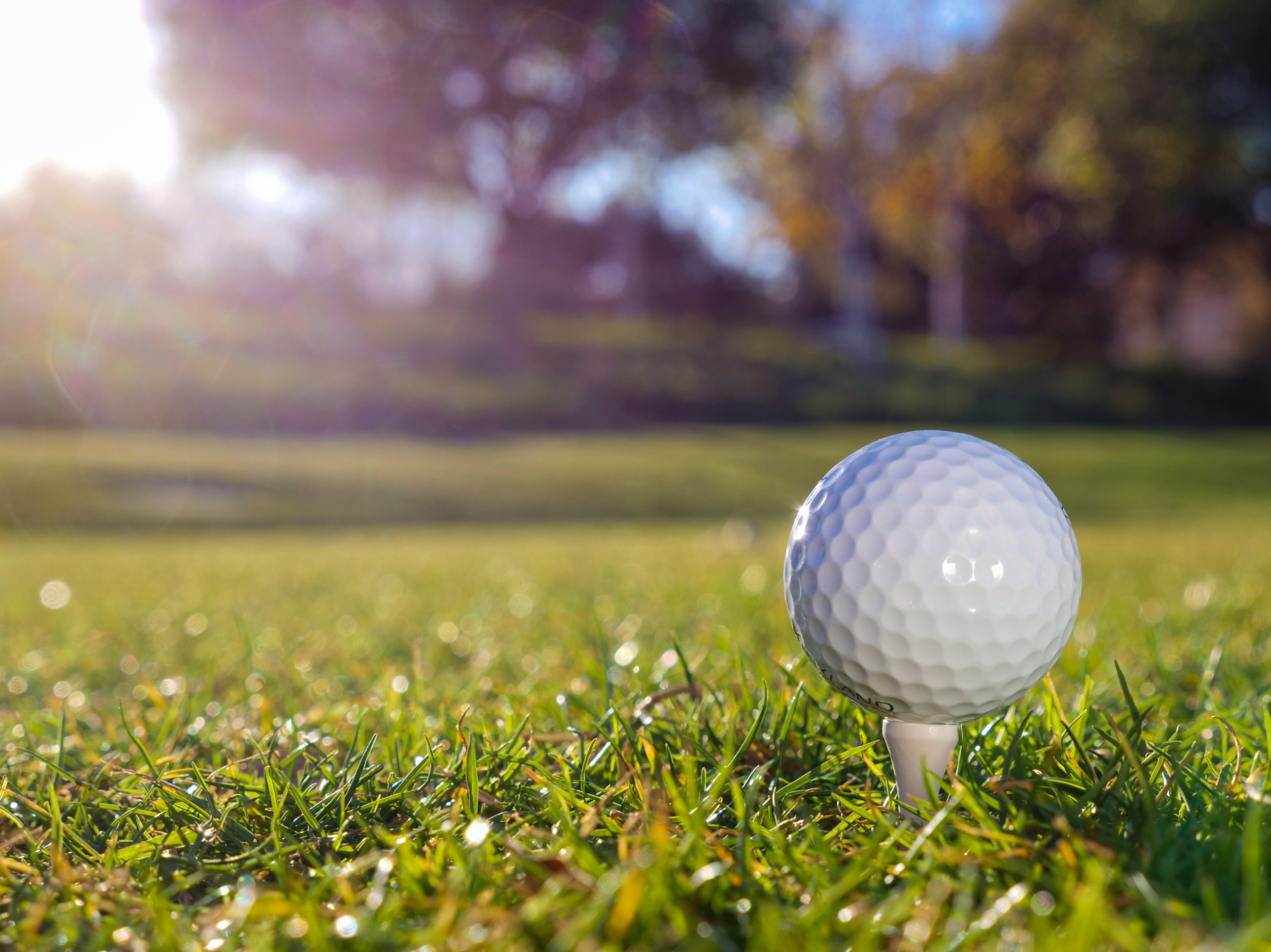 a golf ball on a tee